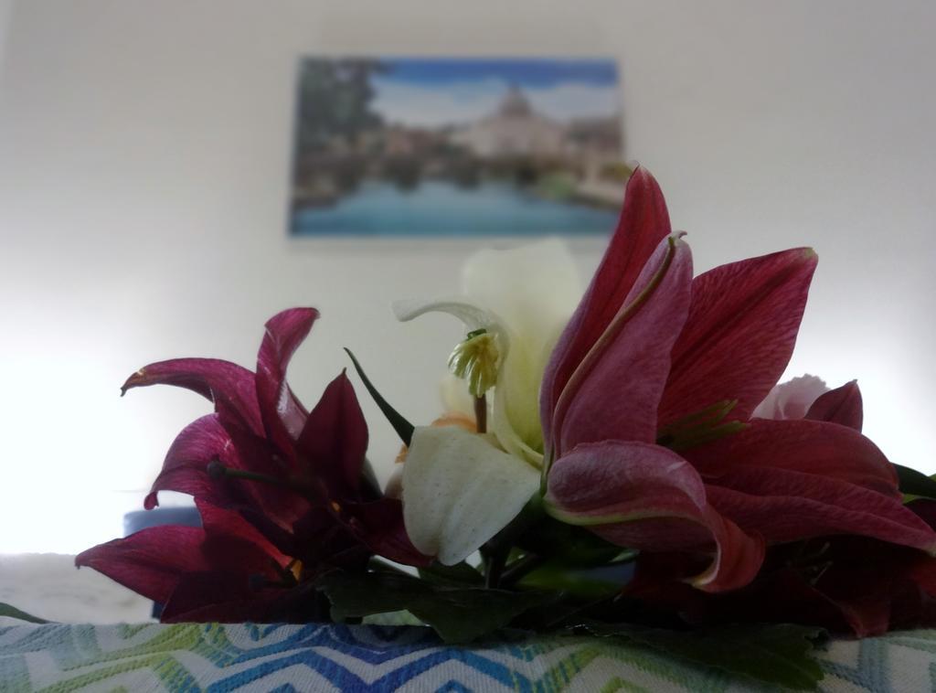 Romulea Guest House Dış mekan fotoğraf